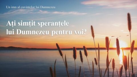 Ați simțit speranțele lui Dumnezeu pentru voi?