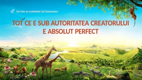 Tot ce e sub autoritatea Creatorului e absolut perfect