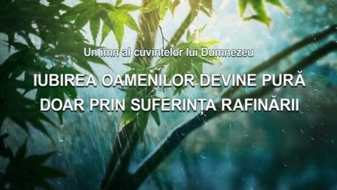 Iubirea oamenilor devine pură doar prin suferința rafinării