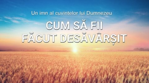 Cum să fii făcut desăvârșit