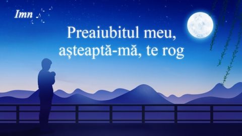 Preaiubitul meu, așteaptă-mă, Te rog