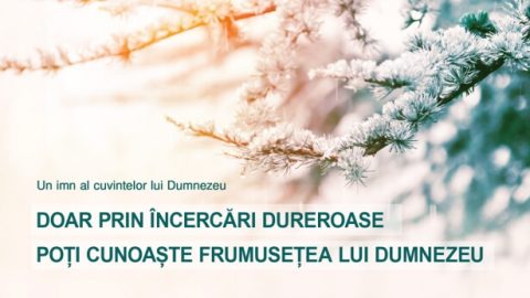 Doar prin încercări dureroase poți cunoaște frumusețea lui Dumnezeu
